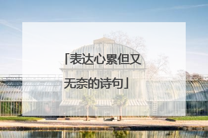 表达心累但又无奈的诗句