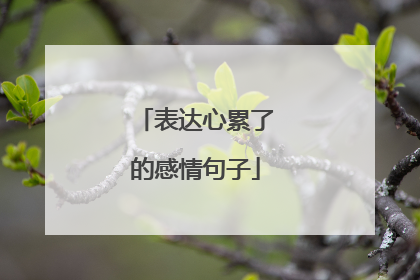 表达心累了的感情句子