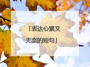 表达心累又无奈的短句