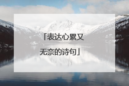 表达心累又无奈的诗句