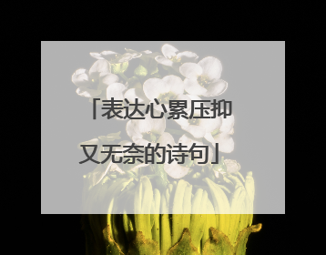 表达心累压抑又无奈的诗句