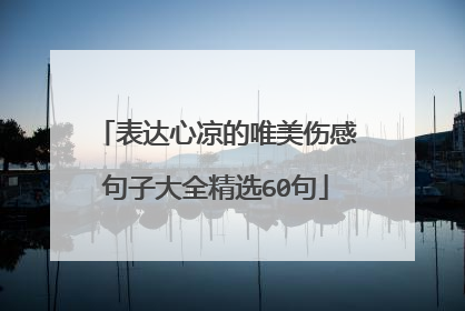 表达心凉的唯美伤感句子大全精选60句