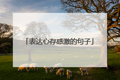表达心存感激的句子