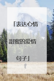 表达心情甜蜜的爱情句子