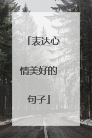表达心情美好的句子