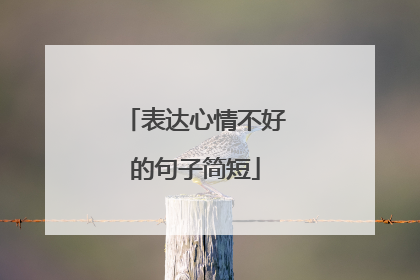 表达心情不好的句子简短