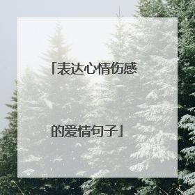 表达心情伤感的爱情句子