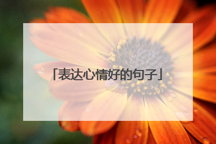 表达心情好的句子
