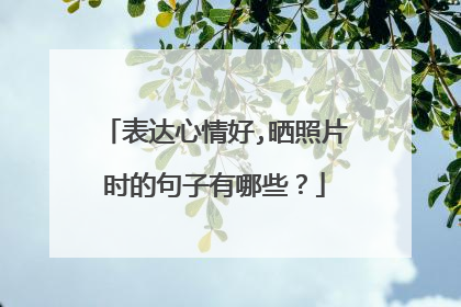 表达心情好,晒照片时的句子有哪些?