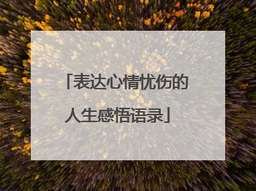表达心情忧伤的人生感悟语录