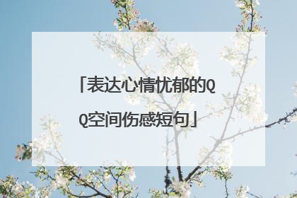表达心情忧郁的QQ空间伤感短句