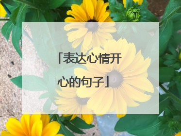 表达心情开心的句子