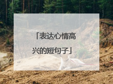 表达心情高兴的短句子