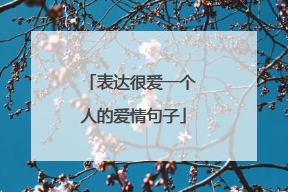 表达很爱一个人的爱情句子