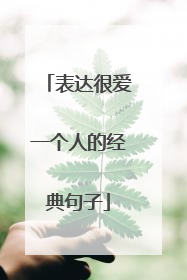 表达很爱一个人的经典句子