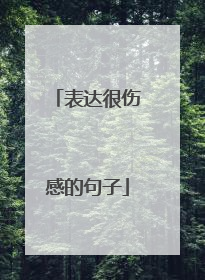 表达很伤感的句子