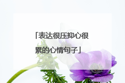 表达很压抑心很累的心情句子