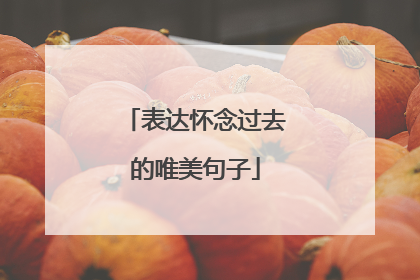 表达怀念过去的唯美句子