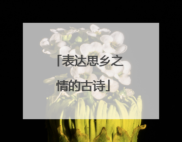 表达思乡之情的古诗
