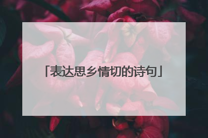 表达思乡情切的诗句