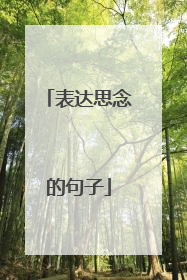 表达思念的句子