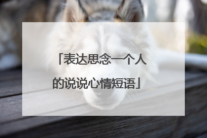 表达思念一个人的说说心情短语