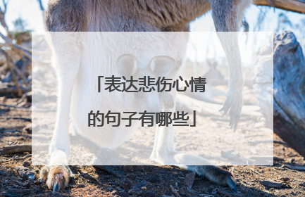 表达悲伤心情的句子有哪些