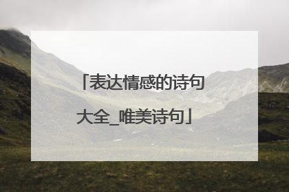 表达情感的诗句大全_唯美诗句