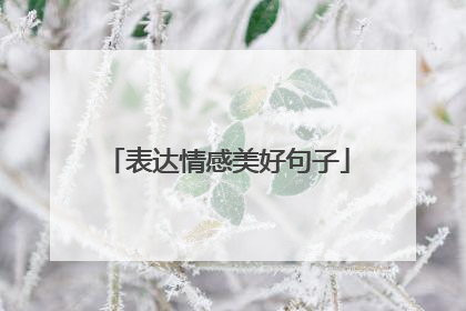 表达情感美好句子