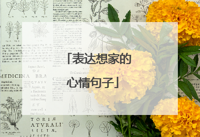 表达想家的心情句子