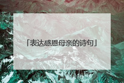 表达感恩母亲的诗句