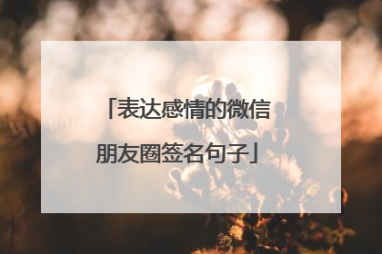 表达感情的微信朋友圈签名句子