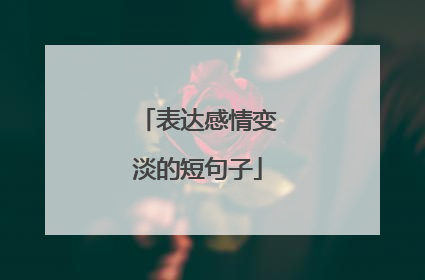 表达感情变淡的短句子