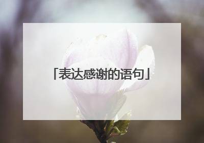 表达感谢的语句