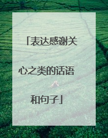 表达感谢关心之类的话语和句子