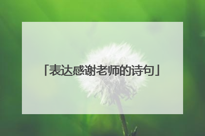 表达感谢老师的诗句
