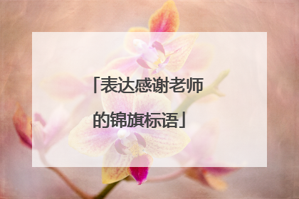 表达感谢老师的锦旗标语