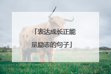 表达成长正能量励志的句子