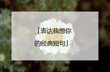 表达我想你的经典短句