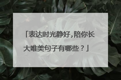表达时光静好,陪你长大唯美句子有哪些?