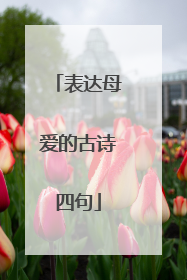 表达母爱的古诗四句