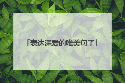 表达深爱的唯美句子