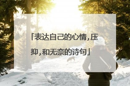 表达自己的心情,压抑,和无奈的诗句