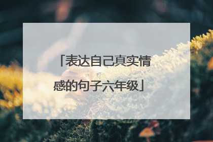 表达自己真实情感的句子六年级