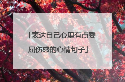 表达自己心里有点委屈伤感的心情句子