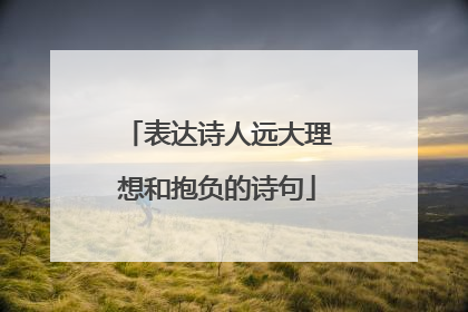 表达诗人远大理想和抱负的诗句
