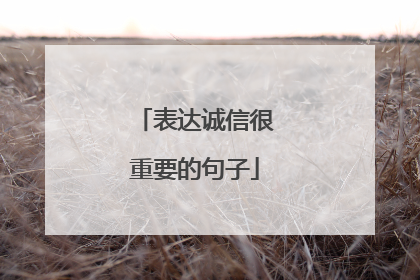 表达诚信很重要的句子