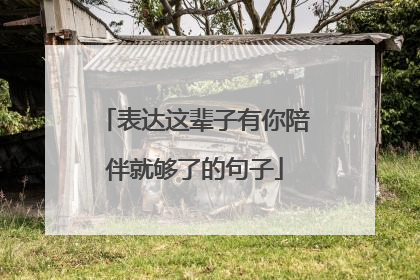 表达这辈子有你陪伴就够了的句子