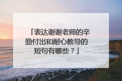 表达谢谢老师的辛勤付出和耐心教导的短句有哪些?