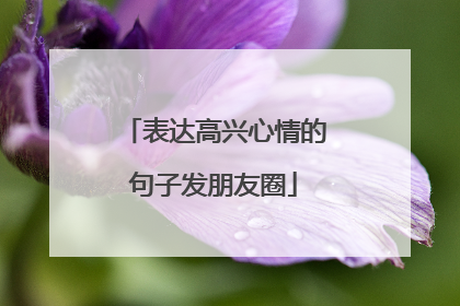 表达高兴心情的句子发朋友圈